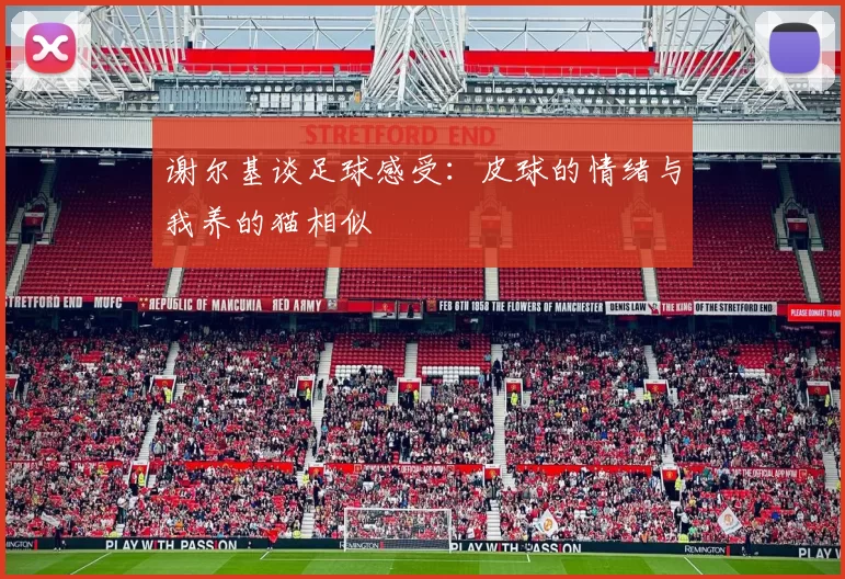 谢尔基谈足球感受：皮球的情绪与我养的猫相似